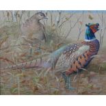 Ralston Gudgeon (1910-1984), Pheasants, gouache on linen, signed, 49cm x 60cm.