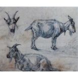 Attributed to Karel Dujardin (1622-1678), Studies of goats, pencil heightened with brown crayon,