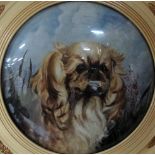 ** Dianne? (19th/20th century), Study of a Pekingese, oil on cand, tondo, indistinctly signed,