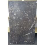 A limestone plinth or table top with fossil inclusions Devonian period, 400,000,000 years,