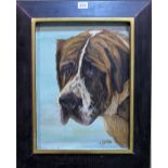 F** Thomas (20th century) Head study of a St Bernard dog, oil on canvas, signed and dated 1923,