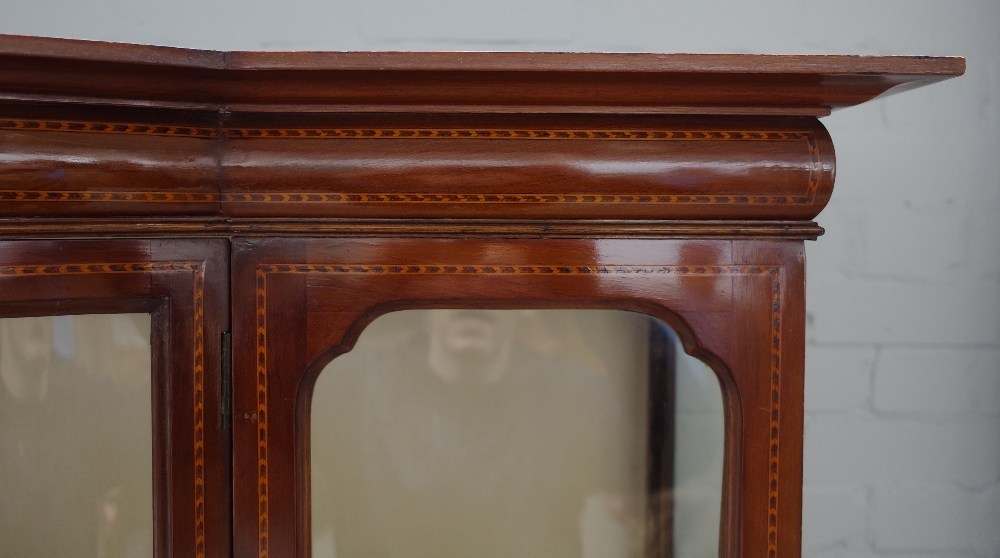 An Edwardian inlaid mahogany bowfront display cabinet with single door over drawer on cabriole - Image 5 of 5