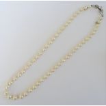 A single row necklace of graduated cultured pearls, on a diamond set clasp, mounted with circular,