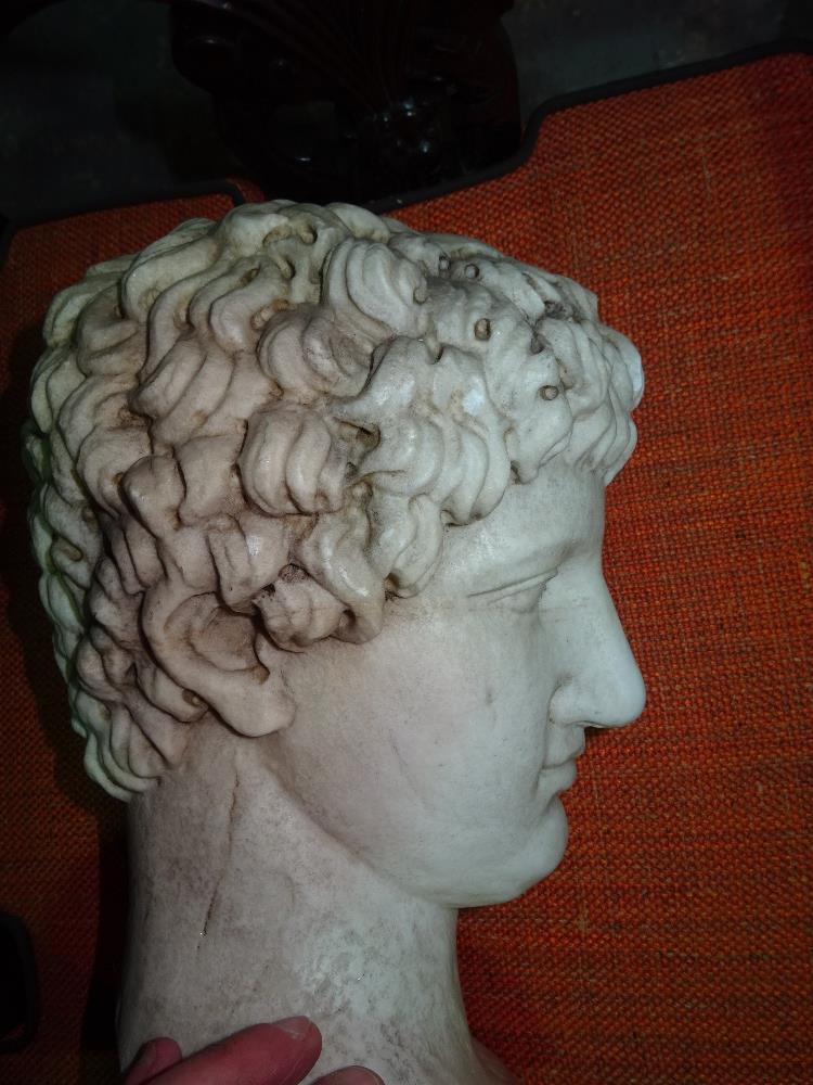 After the Antique; a carved white marble portrait bust of a man, drill carved hair, - Image 11 of 13