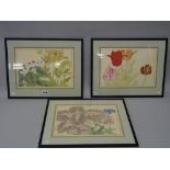 Tanigami Konan ( 1879- 1928), three Japanese woodblock prints, flower studies,