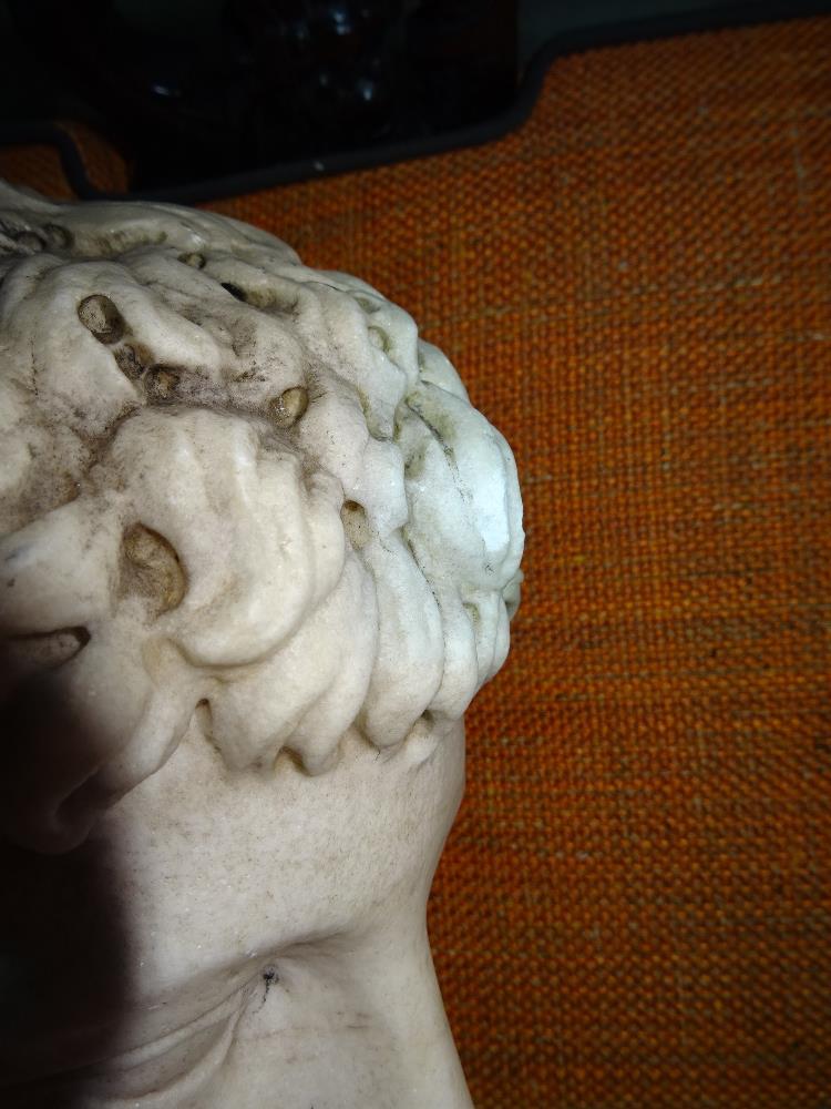 After the Antique; a carved white marble portrait bust of a man, drill carved hair, - Image 13 of 13
