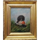 J. Langlois (1855-1904), Water spaniel with retrieved mallard, oil on board, signed, 18.5cm x 14cm.