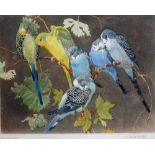 Winifred Austen (1876-1964), Budgerigars, colour aquatint, signed and inscribed, 20cm x 26.5cm.