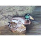James Osborne (b.1940), Duck and Drake, pastel, signed and dated 1989, 28cm x 38cm.