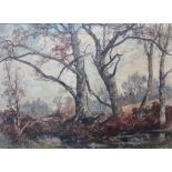 Oliver Hall (1869-1957), A woodland pool, oil on canvas, signed, inscribed on label verso,