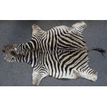 Taxidermy; a Burchell's zebra skin flat rug, 285cm long.