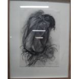 Heather Farrar (contemporary), Nude, charcoal, signed, 41.5cm x 29cm.