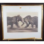 MARTYN COLBECK (Contemporary) a group of four sepia toned prints, 'Clash of the Bulls',