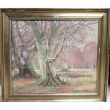 Continental School (20th century), Wooded scene, oil on canvas, indistinctly signed, 58cm x 68cm.