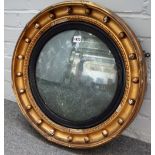 A Regency gilt framed circular convex wall mirror with ebonised slip, 57cm diameter.