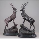After Moignez; a pair of bronze stags, late 20th century, on shaped marble plinths, 72cm high, (2).