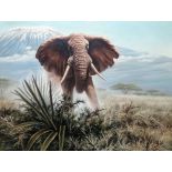 David Parry (b.1942), Elephant, oil on canvas, signed and dated 1973, 73.5cm x 99cm.