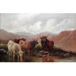 William Perring Hollyer (1834-1922), Highland cattle watering, oil on canvas, signed, unframed,