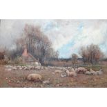 J Thwaite Irving (1888-1893), Sheep grazing near a cottage, oil on canvas, signed, 39cm x 60cm.