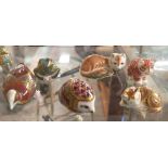 Six Royal Crown Derby Imari paperweights including a frog, coot, fox, hedgehog, cat and another cat,