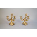 A pair of ormolu Rococo style candelabra, 19th century, each of foliate cast form on a shaped base,