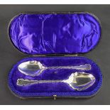 A cased pair of Edwardian silver fruit serving spoons, Horace Woodward, Sheffield 1903,
