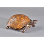 A taxidermy tortoise inkwell with silver hinged lid to the interior engraved 'WANA WAIRSTAN 1894',