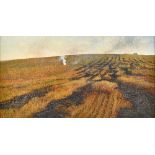 David Tindle (b.1932), Field bonfire, oil on board, signed and dated '75, 26cm x 49cm.