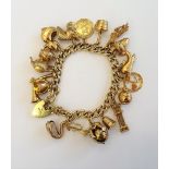 A 9ct gold charm bracelet, suspending eighteen various gold and yellow metal charms,
