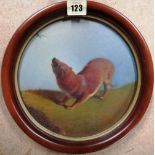 English School (19th century), Study of a ferret, oil on board, tondo,