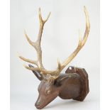 A Black Forest style carved wooden stags head, 20th century, brown painted with ten point antlers,