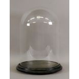 A glass dome on moulded circular ebonised base, 23cm diameter x 36cm high including base.