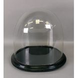 A glass dome, on an ebonised wood base,