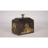 A Regency cast iron tea caddy with chinoiserie decoration and twin brass lion ring handles, 13.