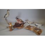 A group of 20th century carved wooden bird models in the manner of Guy Taplin, (6).