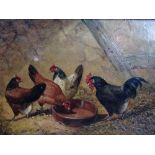 Joseph Benwell Clark (b.1857), Chickens, oil on canvas, 14cm x 19cm.