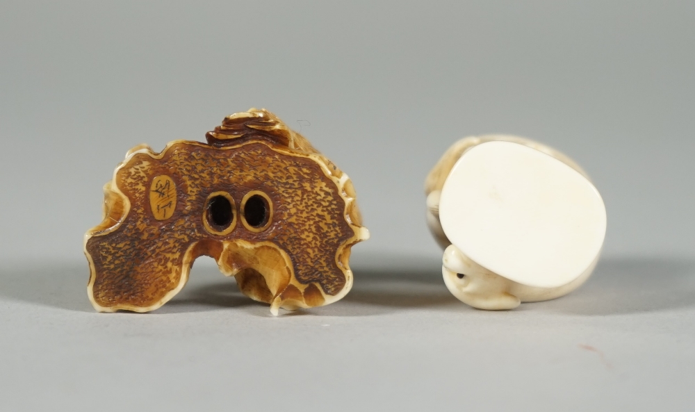 A Japanese ivory netsuke of a hawk and young, Edo period, 19th century, perched side by side, - Image 4 of 4