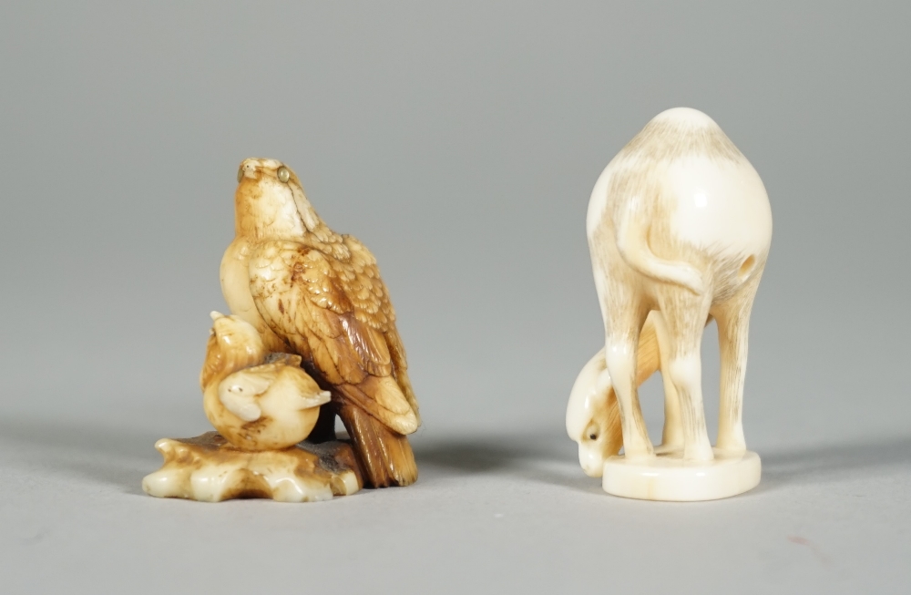 A Japanese ivory netsuke of a hawk and young, Edo period, 19th century, perched side by side, - Image 2 of 4