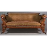 A George IV mahogany scroll end sofa with cornucopia carved arms on outswept sabre supports,
