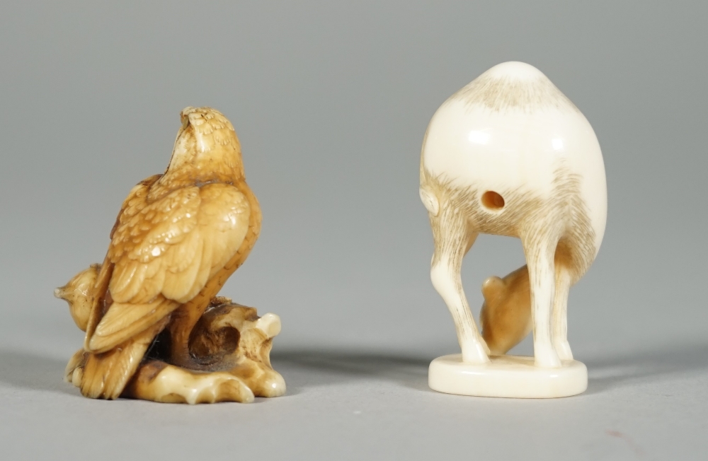 A Japanese ivory netsuke of a hawk and young, Edo period, 19th century, perched side by side, - Image 3 of 4