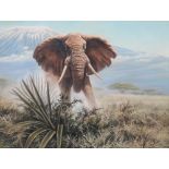 David Parry (b.1942), Elephant, oil on canvas, signed and dated 1973, 73.5cm x 99cm.