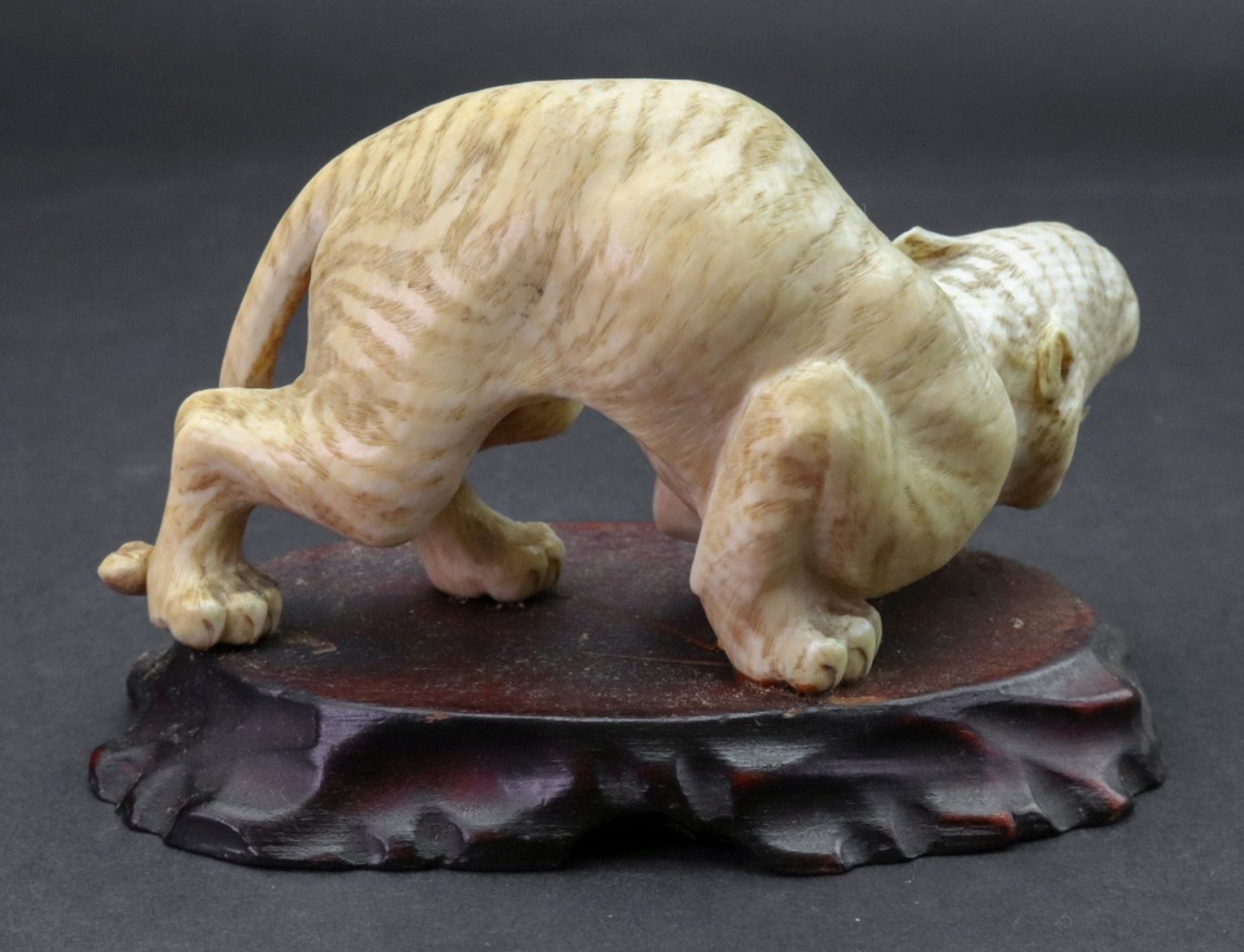 A Japanese ivory figure of a tiger, Meiji period, carved crouching with teeth bared, 11. - Image 4 of 4
