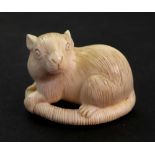A Japanese ivory netsuke of a recumbent rat, late 19th/early 20th century, signed, 4.5cm length.