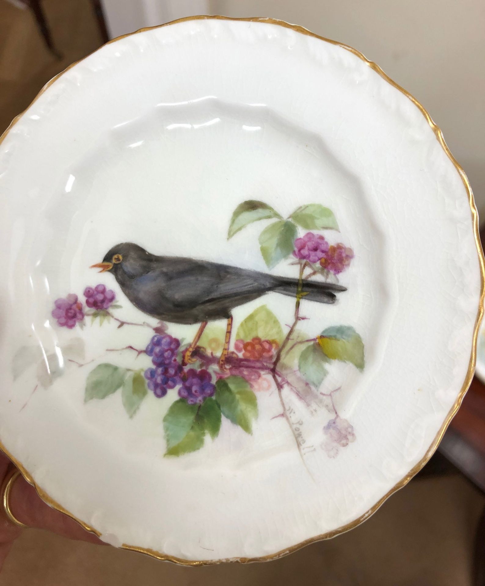 A set of six Royal Worcester plates, individually painted with birds, by W Powell, - Image 7 of 7