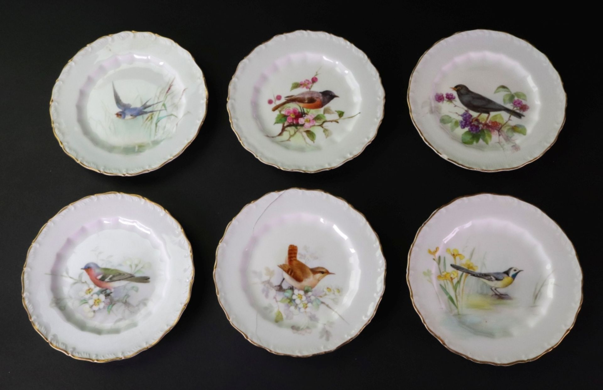 A set of six Royal Worcester plates, individually painted with birds, by W Powell,