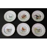 A set of six Royal Worcester plates, individually painted with birds, by W Powell,