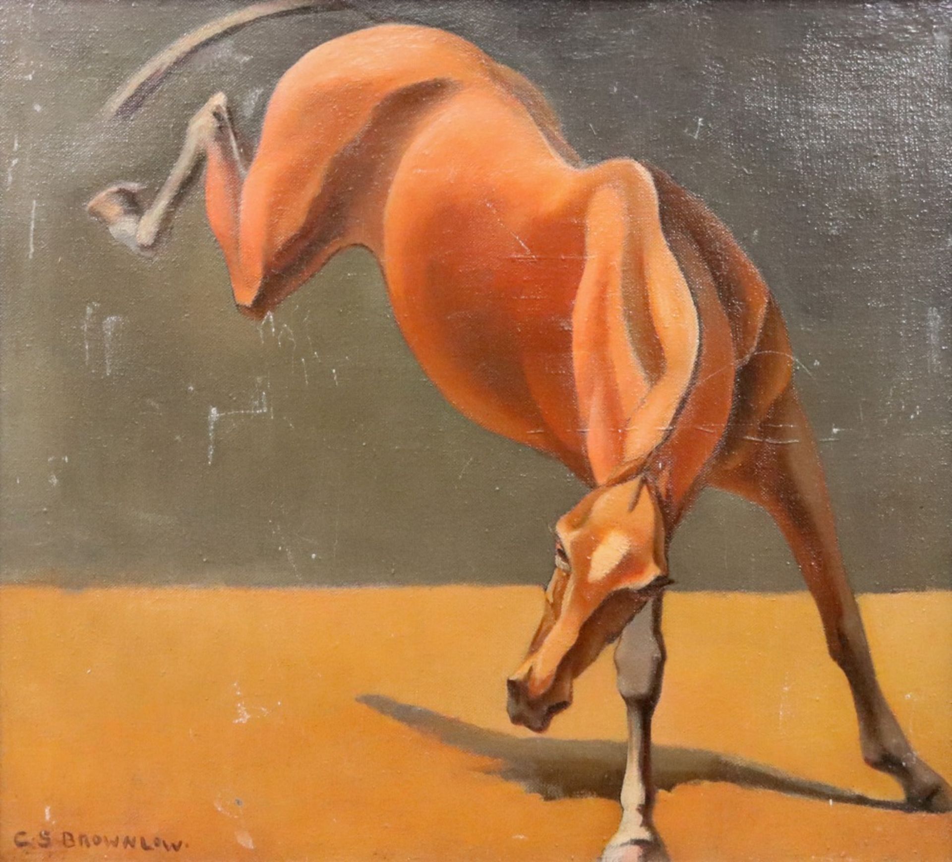 Charles Sutherland Brownlow (British, 20th Century), Kicking Horse,