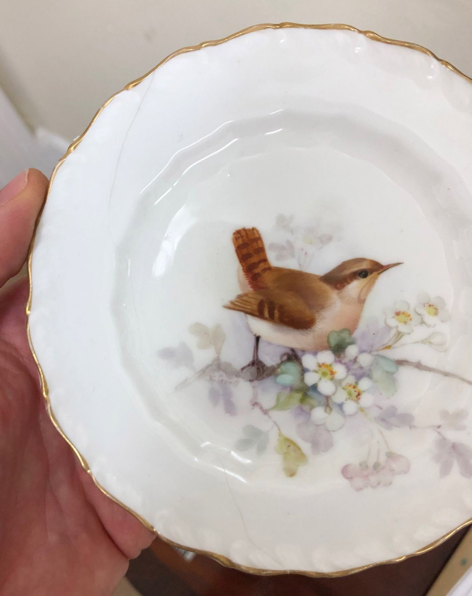 A set of six Royal Worcester plates, individually painted with birds, by W Powell, - Image 5 of 7