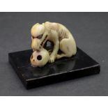 A Japanese ivory wolf, carved seated with teeth bared and one paw resting on a skull,