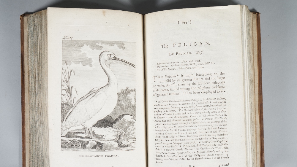 BUFFON, Georges-Louis Leclerc, Comte de (1707-88). The Natural History of Birds ... - Image 4 of 6